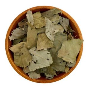 Ivy Leaves
